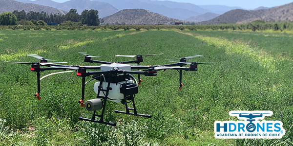 5 preguntas comunes sobre los drones en la agricultura